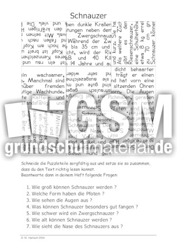 Schnauzer.pdf